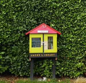 littlefreelibrary-1-cropped